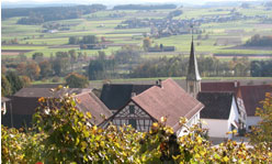 Willkommen bei den Thurgauer Weinfreunden